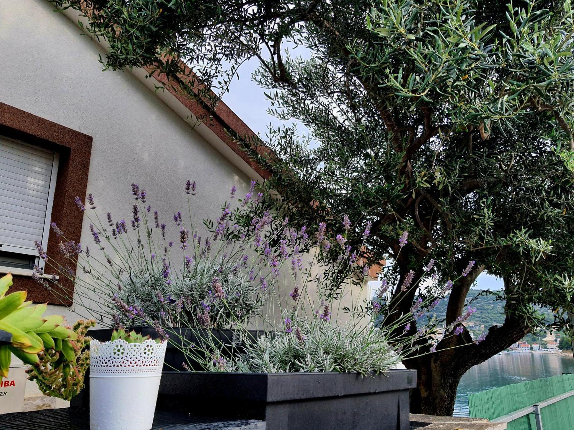 Villa Sunshine Baum Marina Bagian luar foto